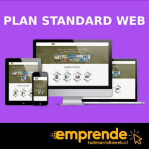 Plan Standard Web